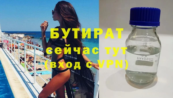прущие грибы Няндома