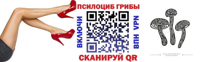 Псилоцибиновые грибы Psilocybe  Купить где  Качканар 
