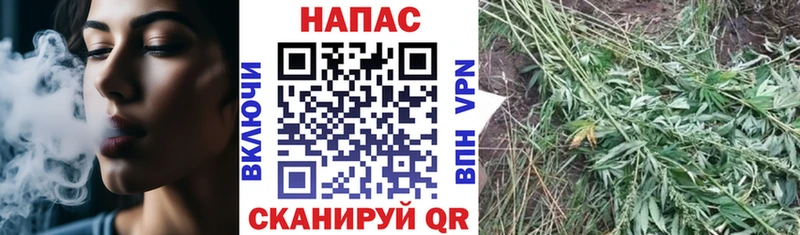 Купить закладки  Качканар  Бошки Шишки SATIVA & INDICA 